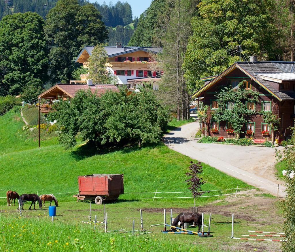 Zauchtaler Hof Hotell Altenmarkt im Pongau Exteriör bild